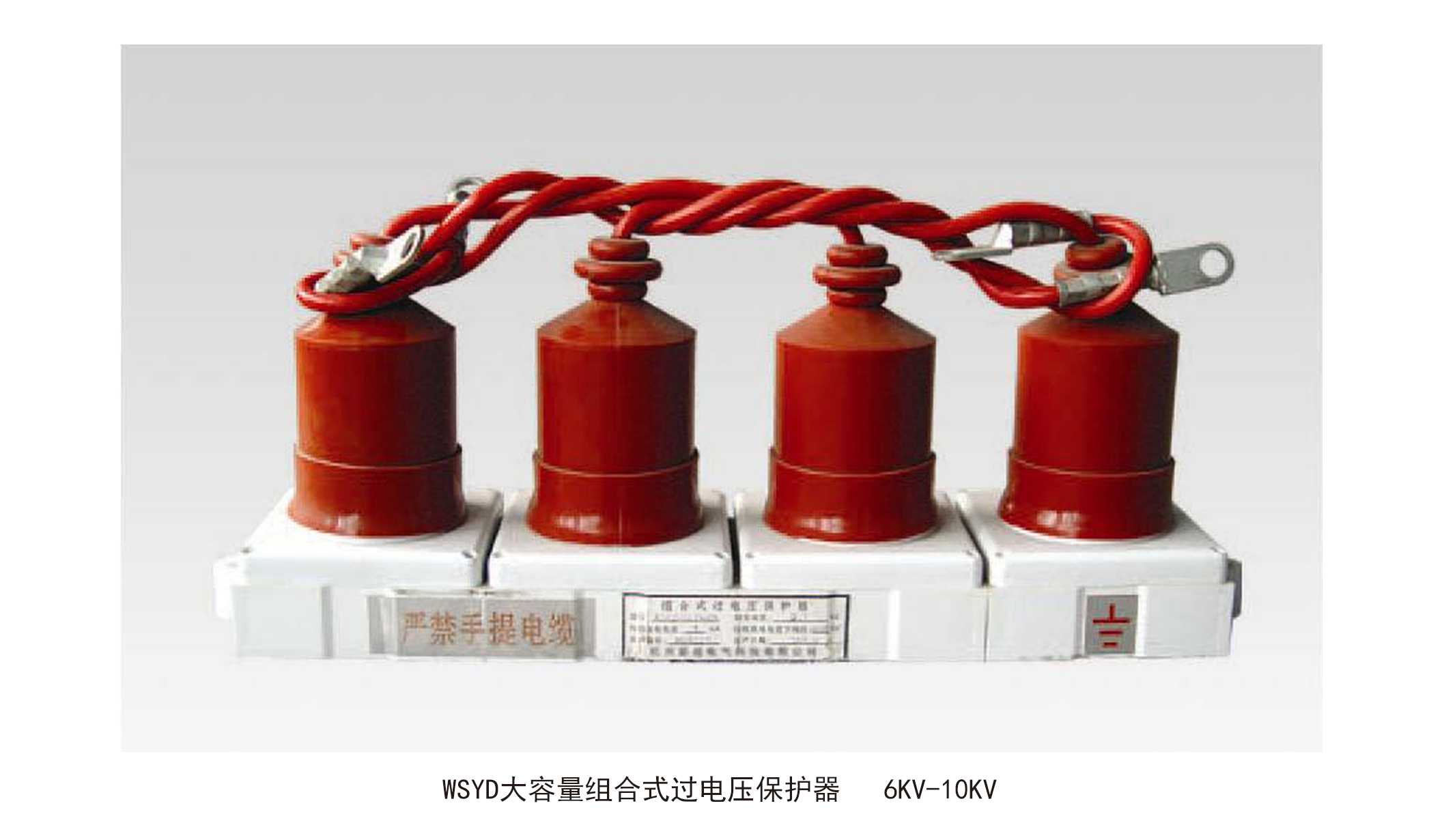 WSYD大容量組合式過電壓保護器6KV-10KV